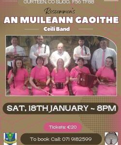 An Muileann Gaoithe Ceili Band 18/01